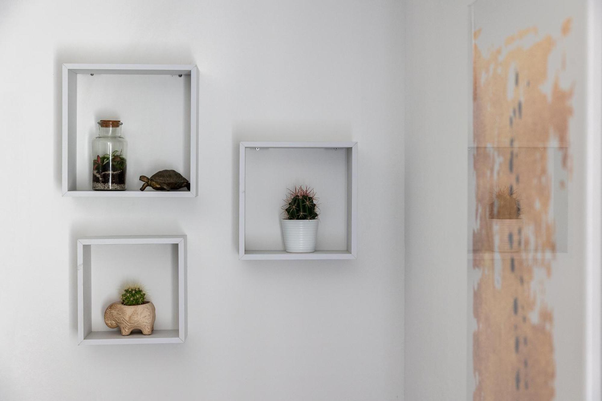 Dubrovnik Domus Apartment Εξωτερικό φωτογραφία